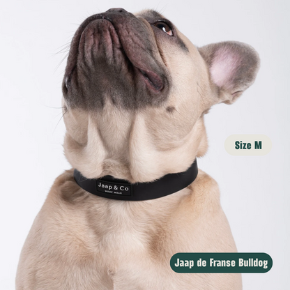 Black Paws Waterproof - Dog Collar