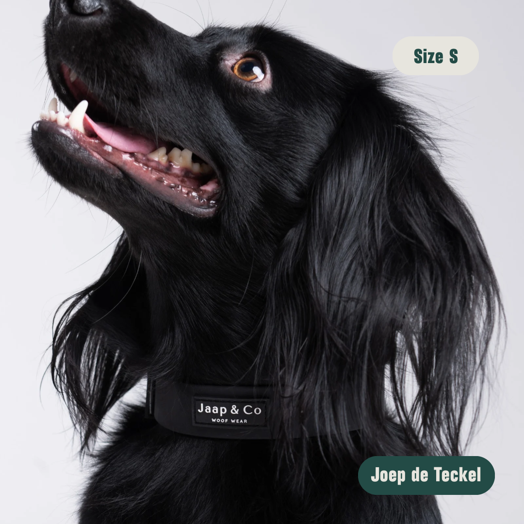 Black Paws Waterproof - Dog Collar