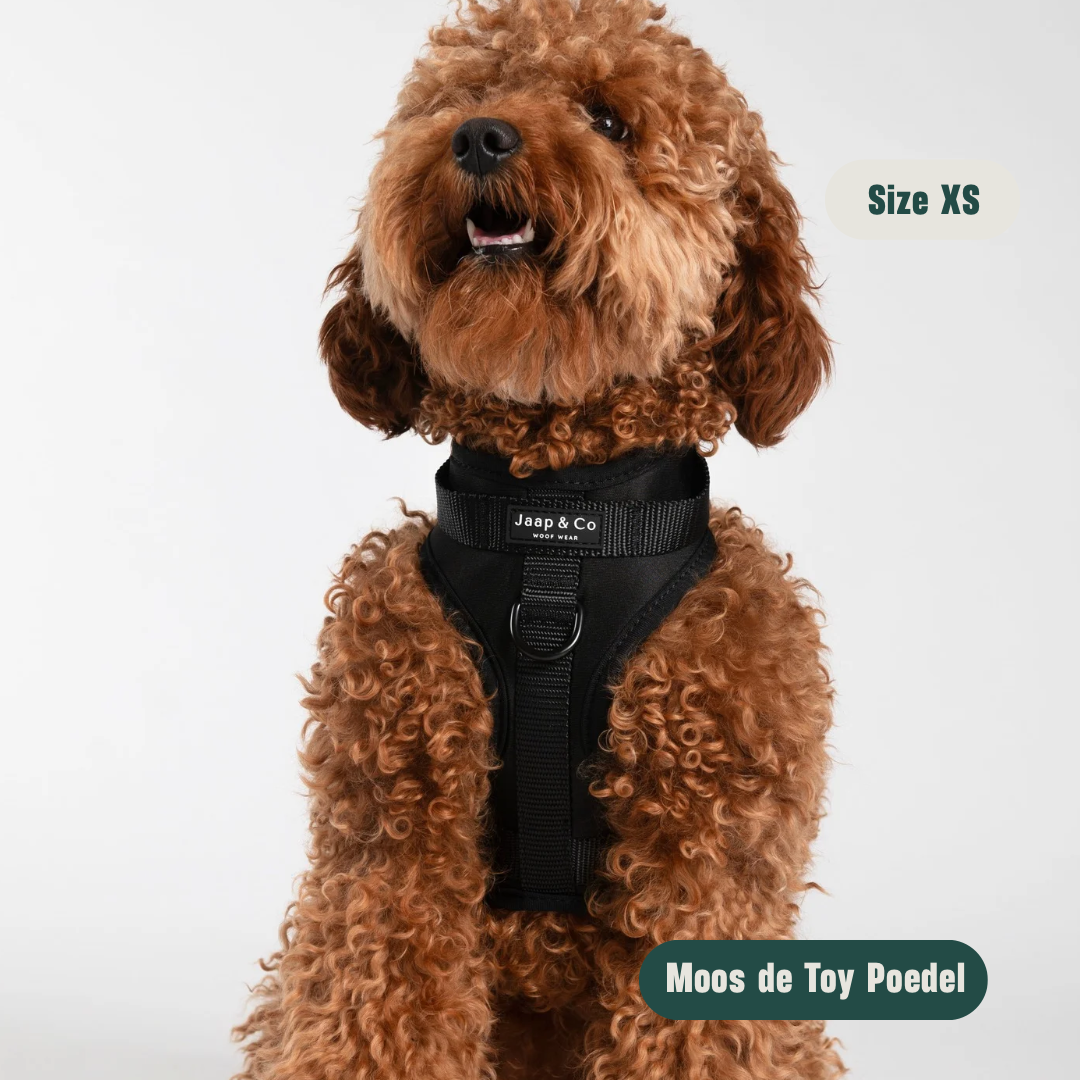 Black Paws Waterproof - Set Tuigje