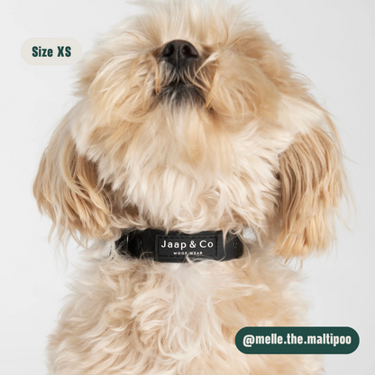 Black Paws Waterproof - Dog Collar