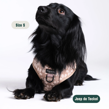 Blush Elegance - Hundegeschirr
