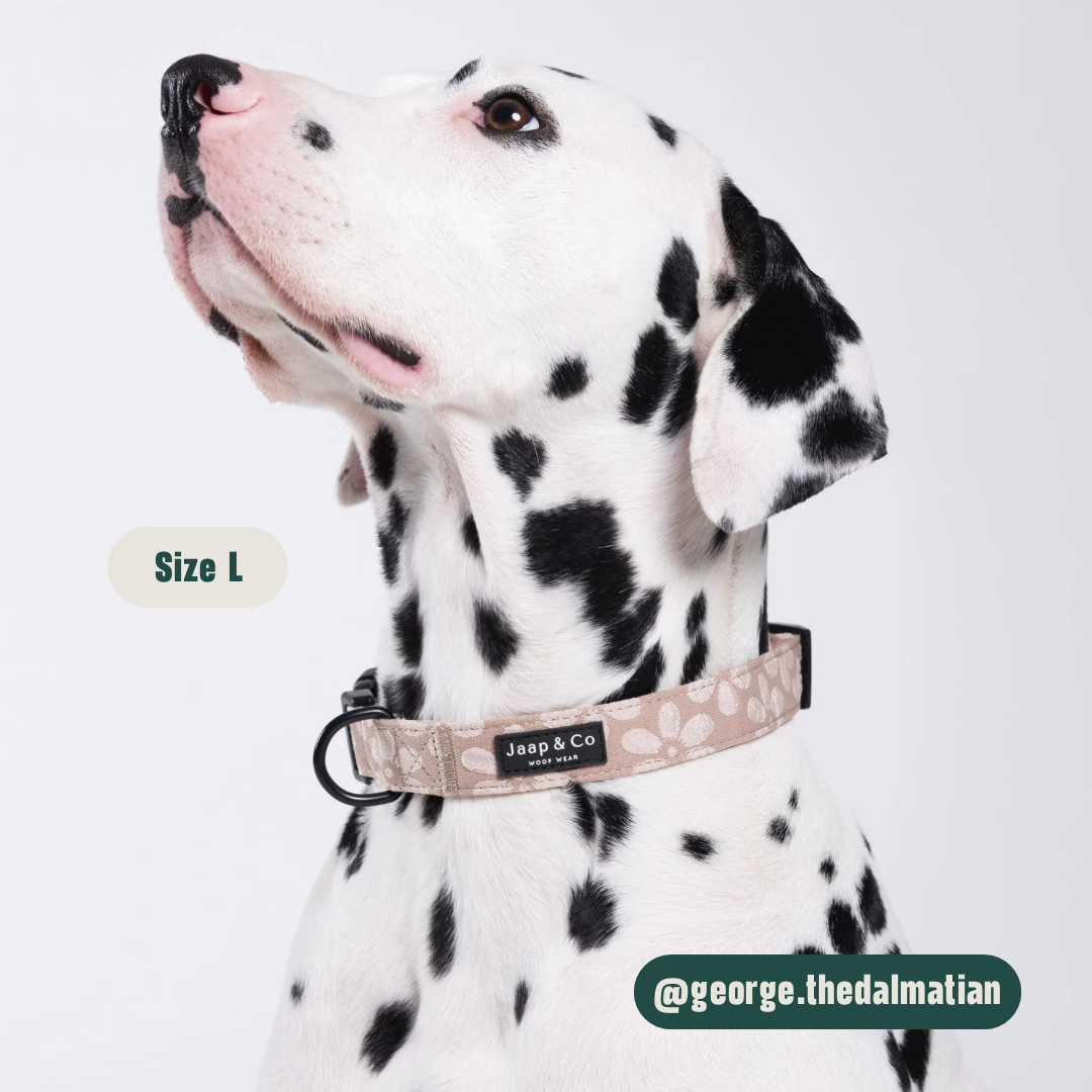 Blush Elegance - Set Halsband