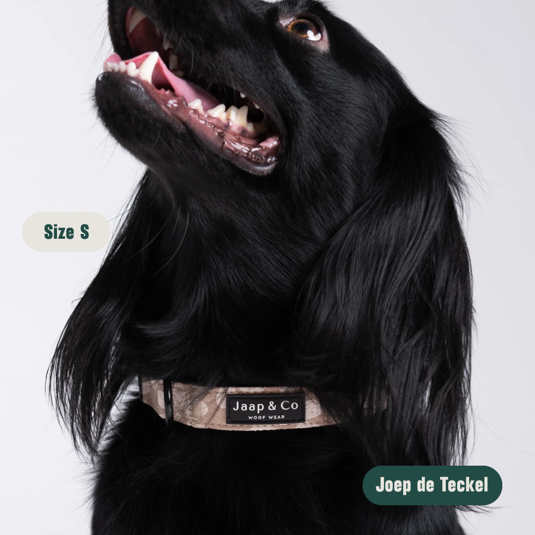 Blush Elegance - Set Halsband