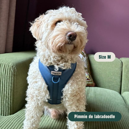 Bold Blue Waterproof - Hondentuigje