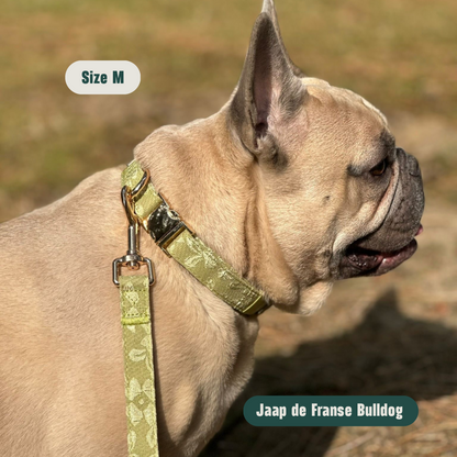 Botanical Glow – Hundehalsband
