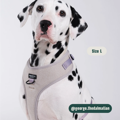 Classic Beige - Set Tuigje