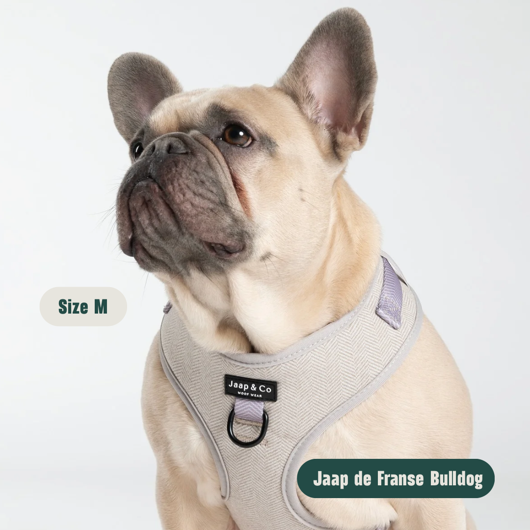 Classic Beige - Set Tuigje