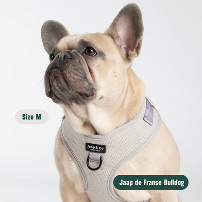 Classic Beige - Set Tuigje