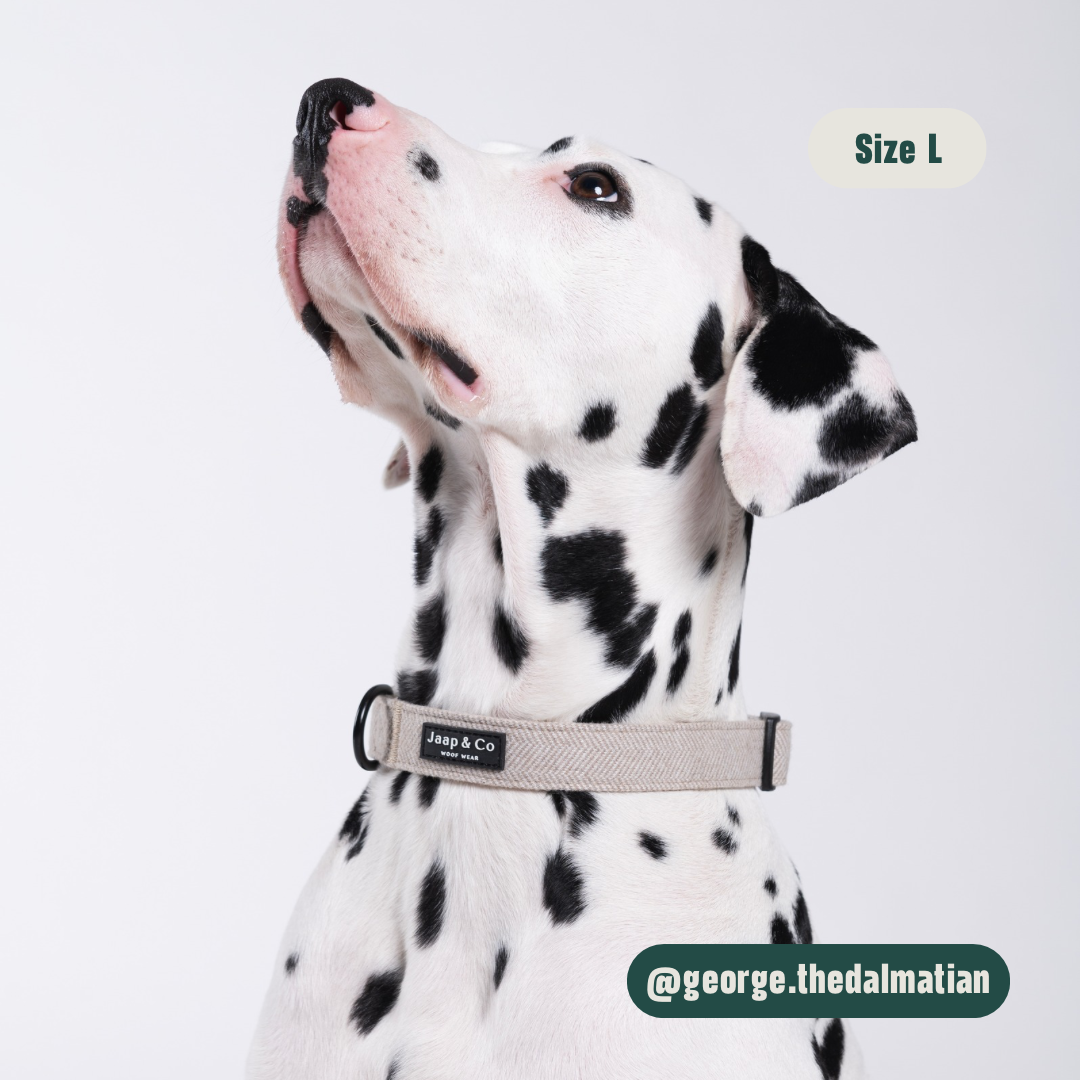 Classic Beige - Set Halsband