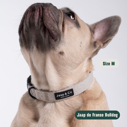 Classic Beige - Set Halsband