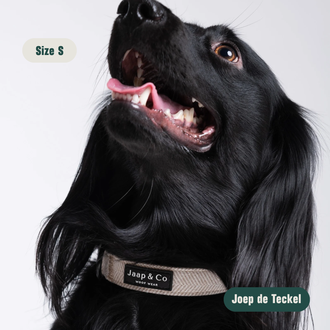 Classic Beige - Set Halsband