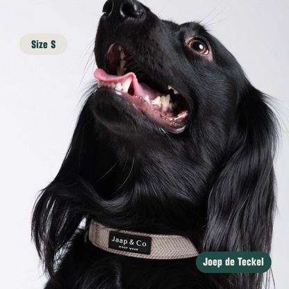 Classic Beige - Set Halsband