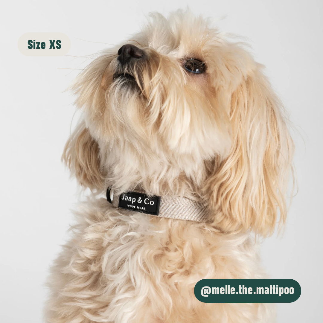 Classic Beige - Set Halsband