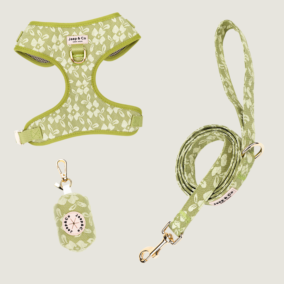 Botanical Glow - Set Tuigje