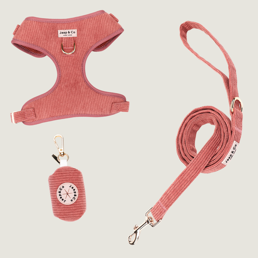 Golden Trails - Set Tuigje