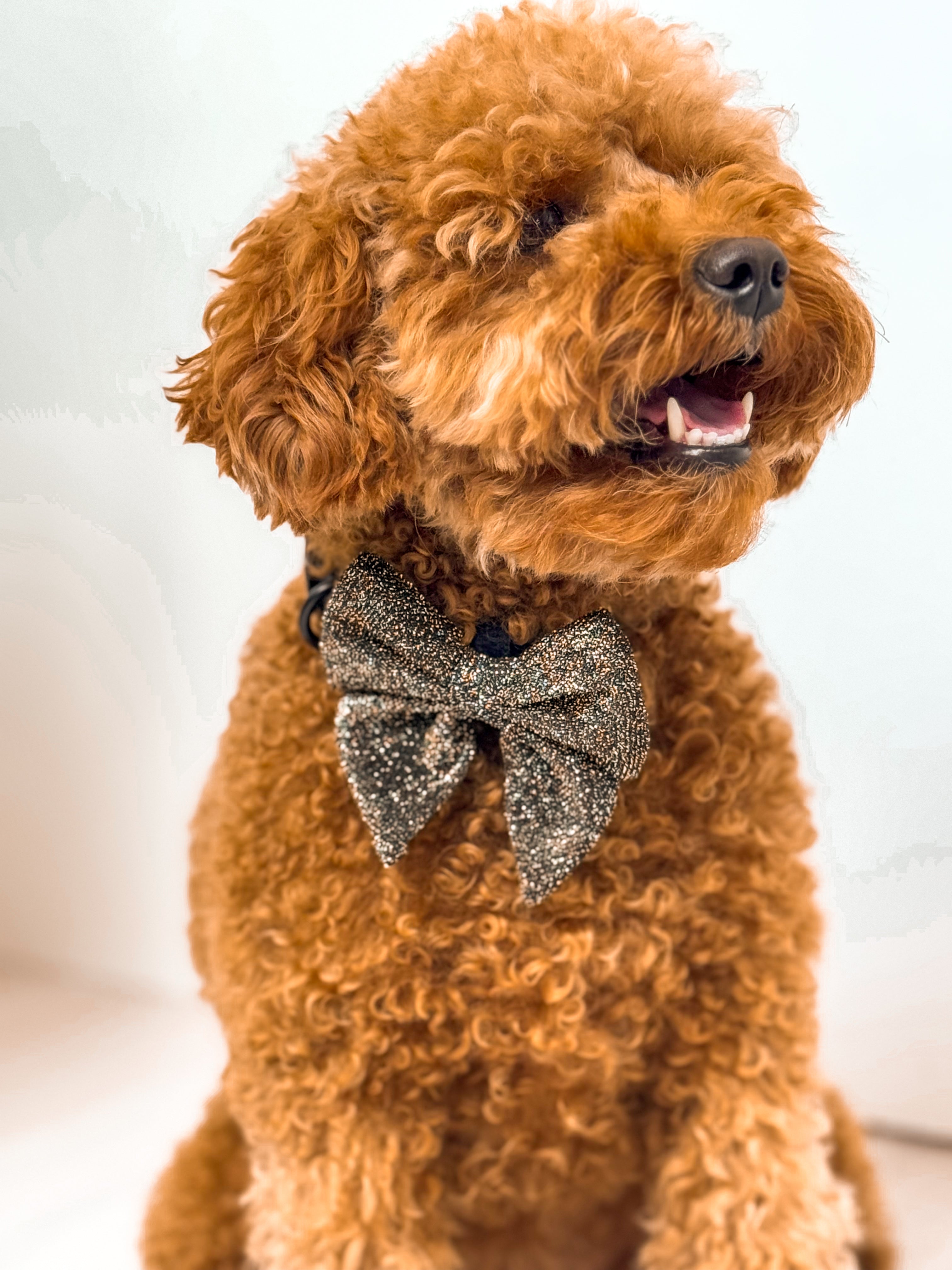 Bow Tie New Year Spark