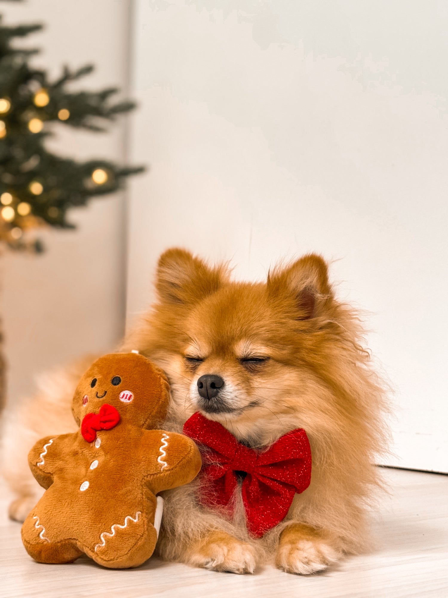 Gingerbread Cookie Hondenspeeltje