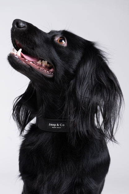 Black Paws Waterproof - Hondenhalsband