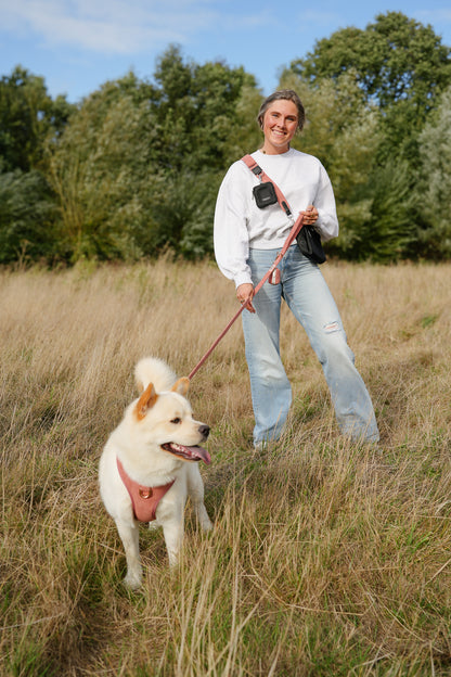 Golden Trails - Set Tuigje