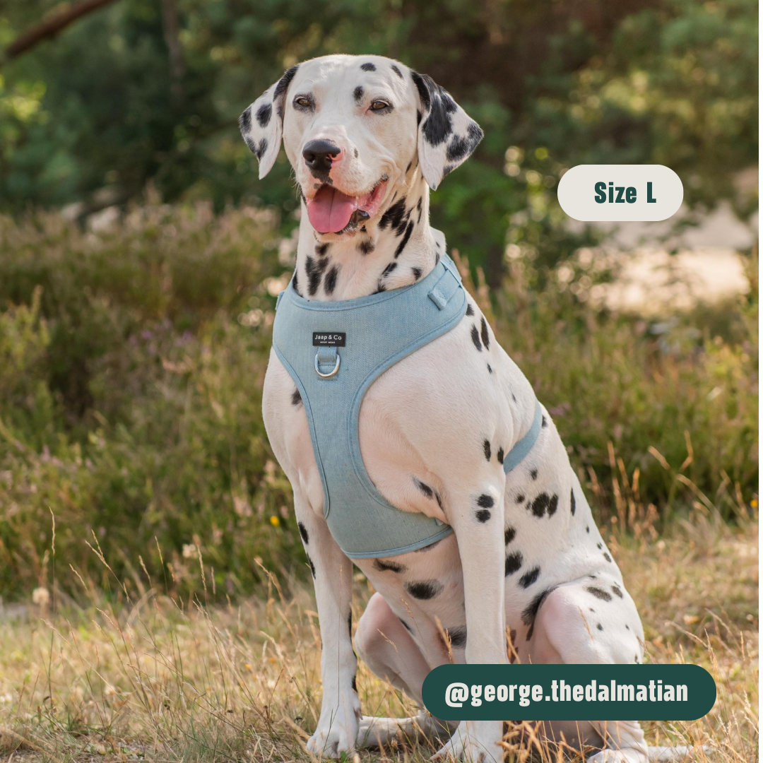 Denim Days - Set Tuigje