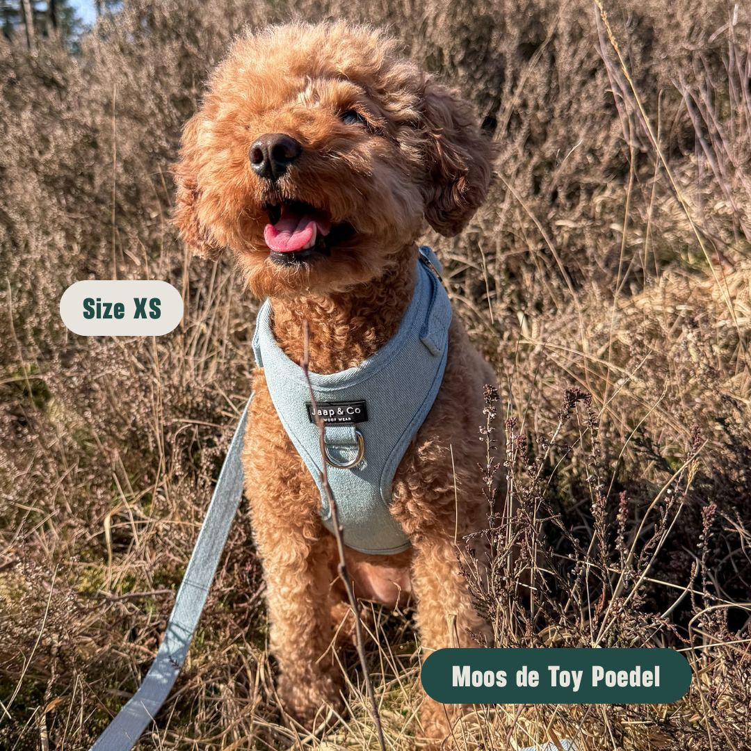 Denim Days - Set Tuigje