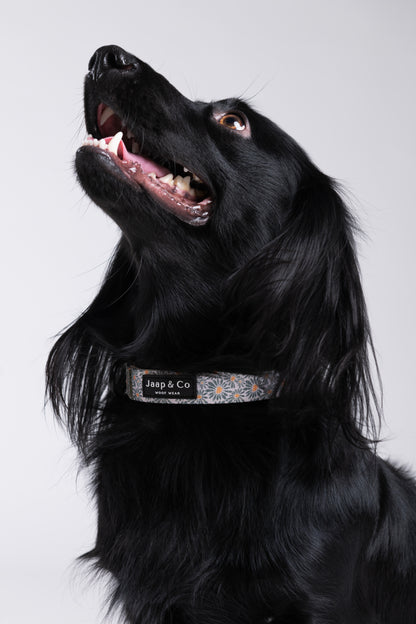 Floral Memories - Hondenhalsband