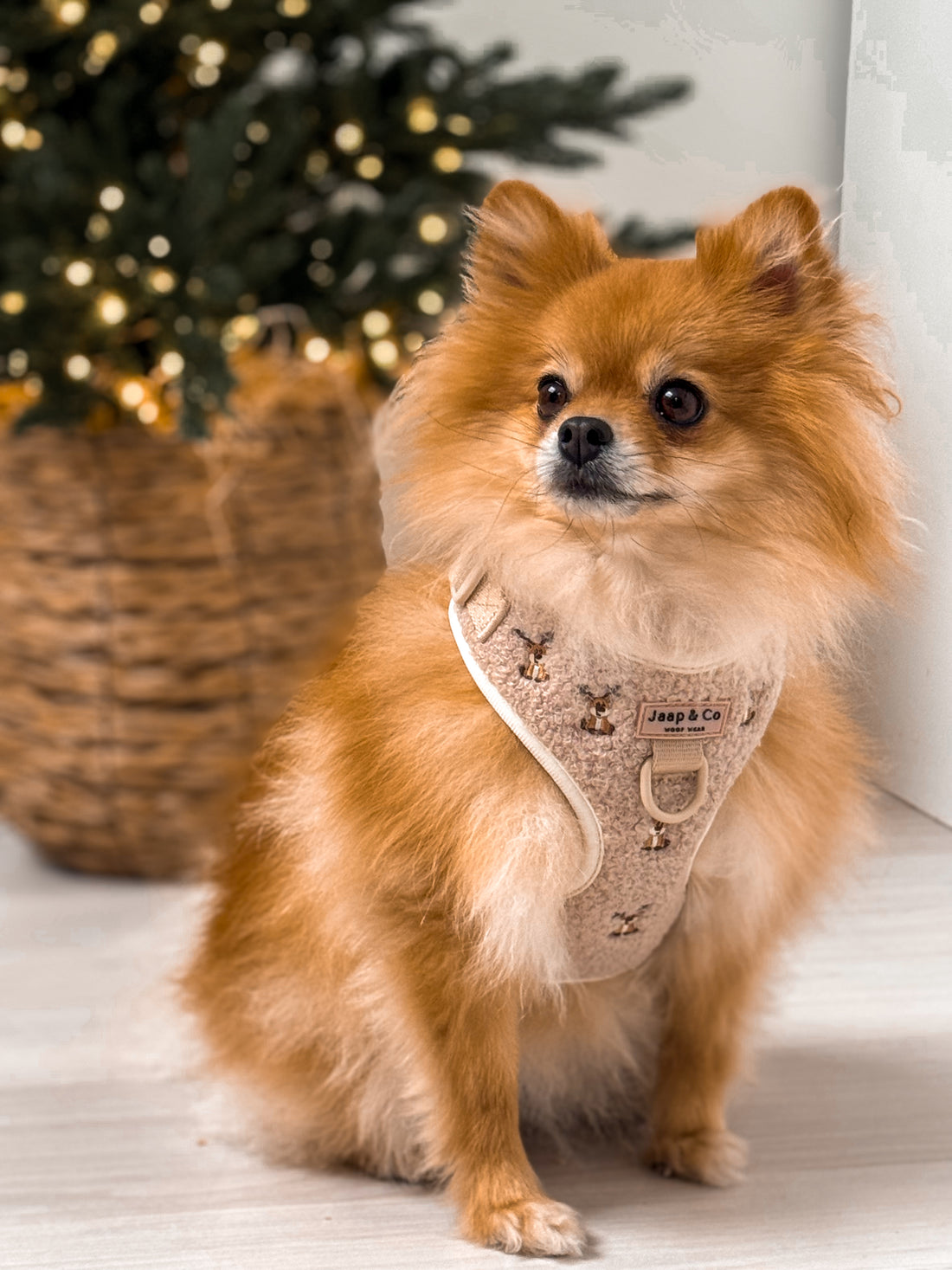 Cosy Reindeer - Hondentuigje