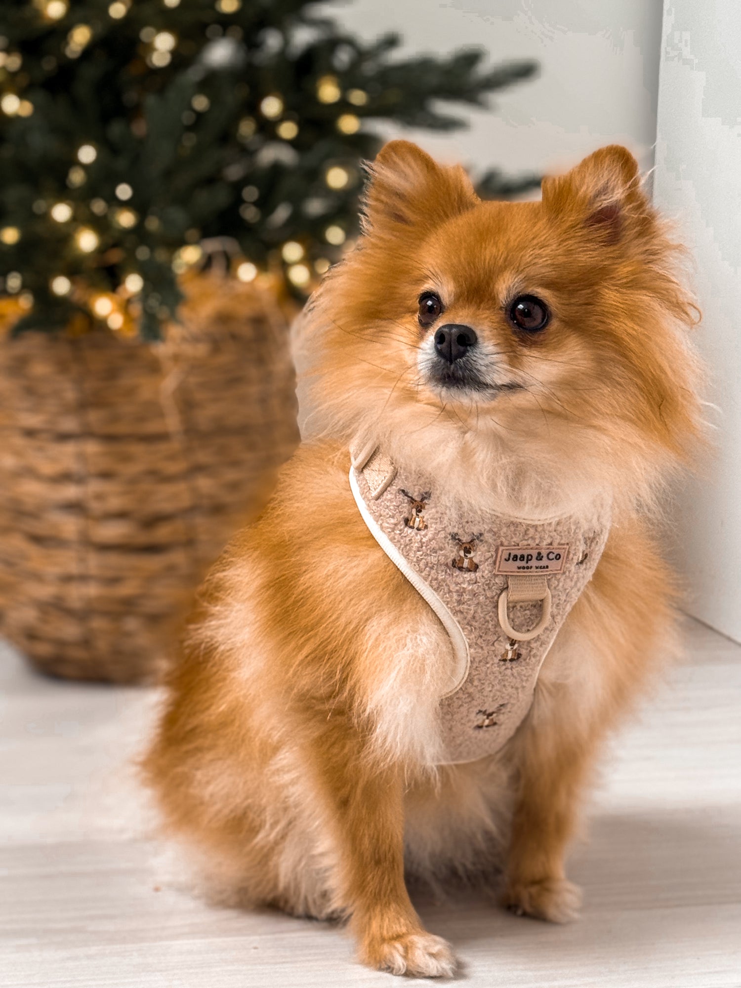 Cosy Reindeer - Hondentuigje