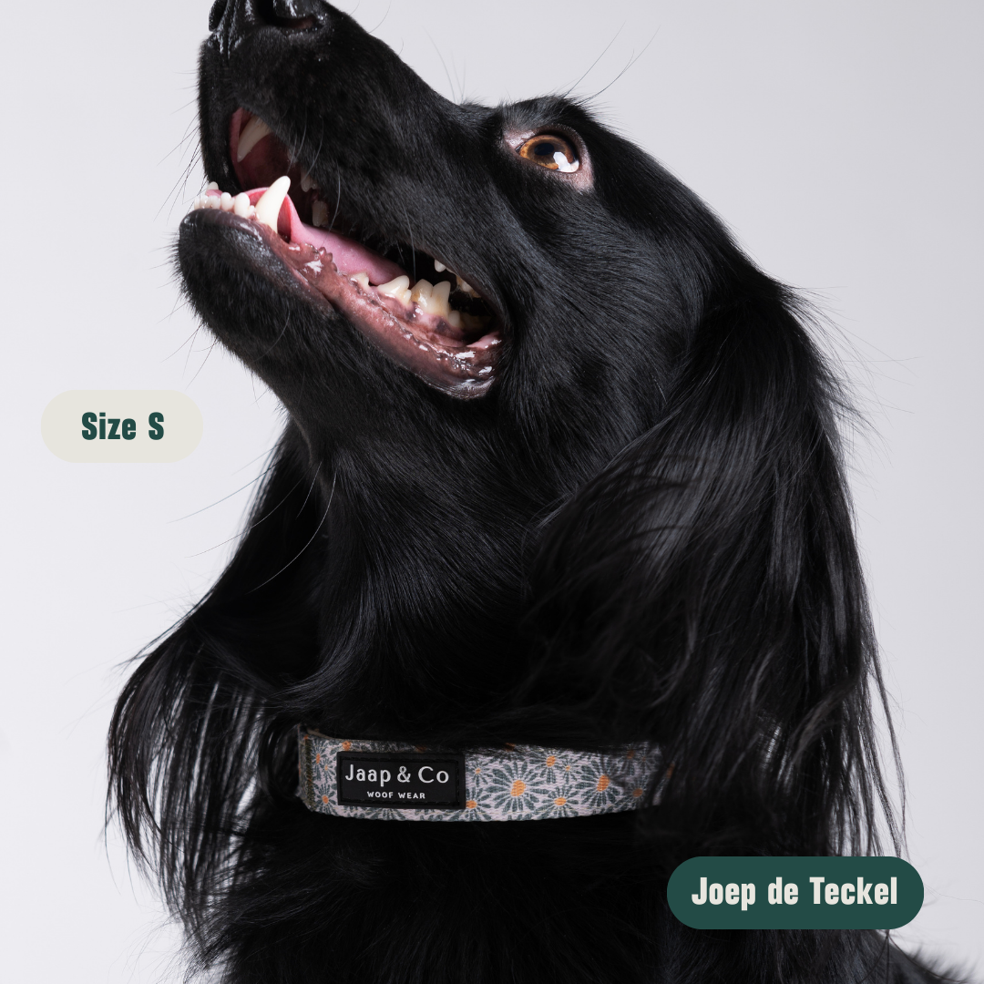 Floral Memories - Set Halsband