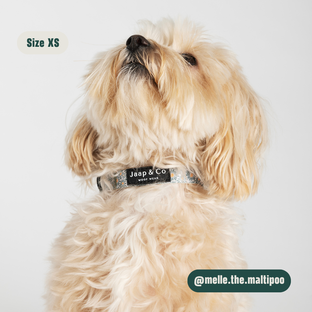 Floral Memories - Set Halsband