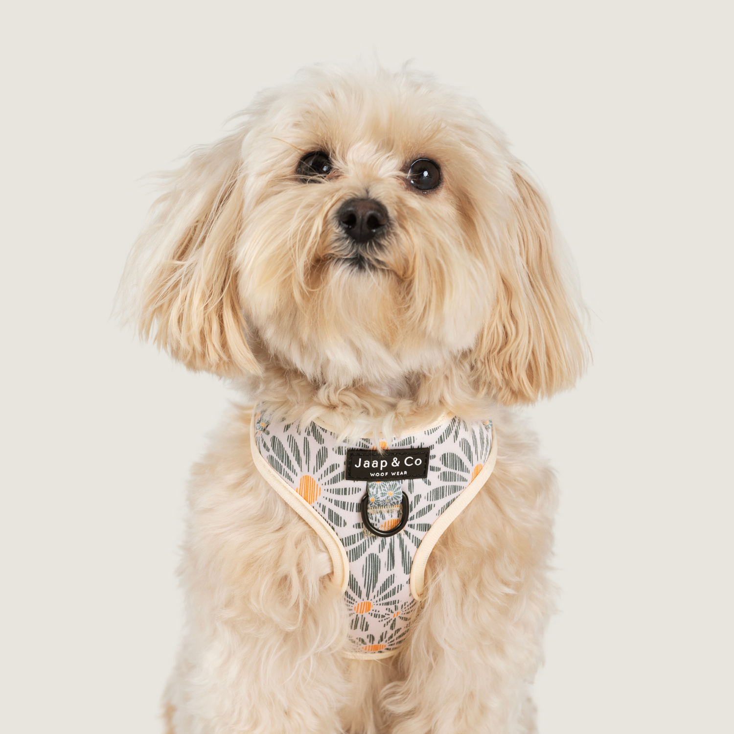 Floral Memories - Dog Harness
