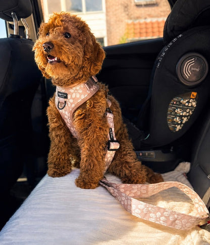 Honden Autoriem – Veiligheidsriem met Autogordel Dikte - Blush Elegance