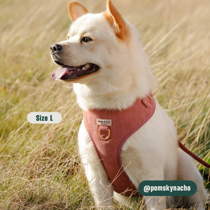 Golden Trails - Hondentuigje