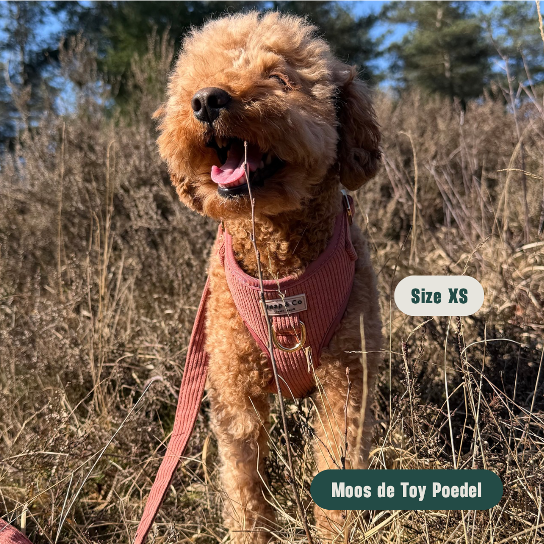 Golden Trails - Hondentuigje