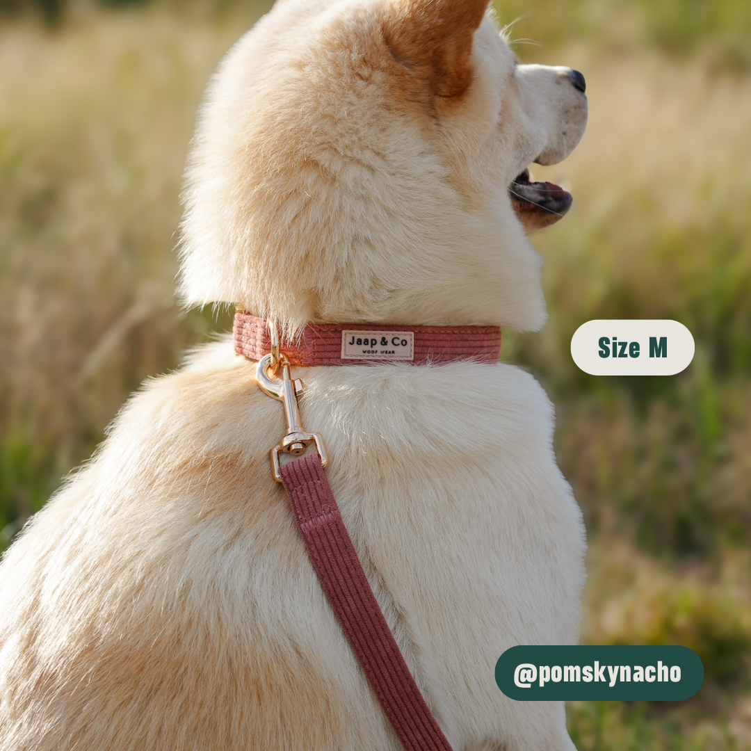 Golden Trails - Set Halsband