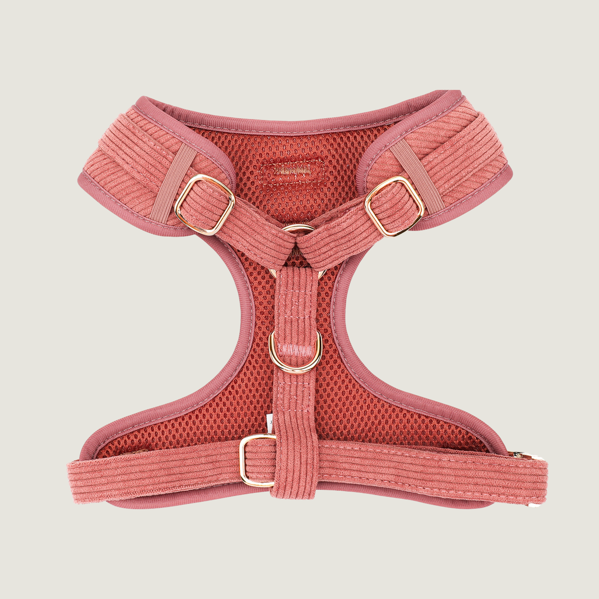 Golden Trails - Hondentuigje