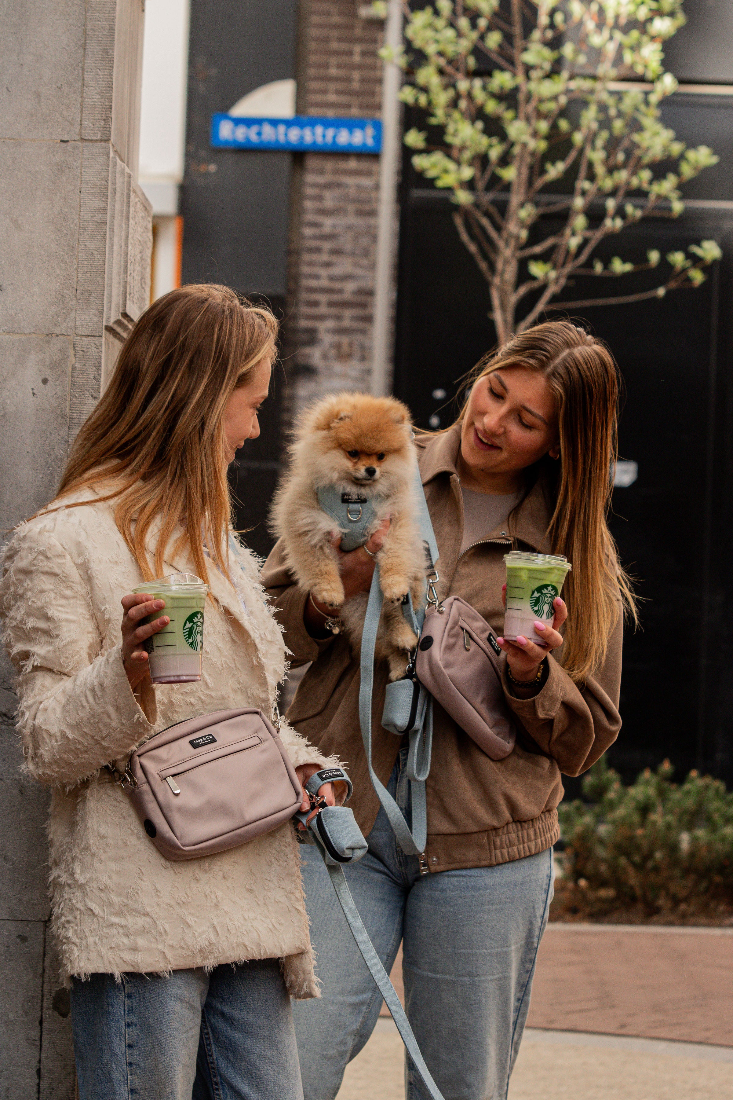 Latte Machiato Dogmom Bag - Denim Days Strap