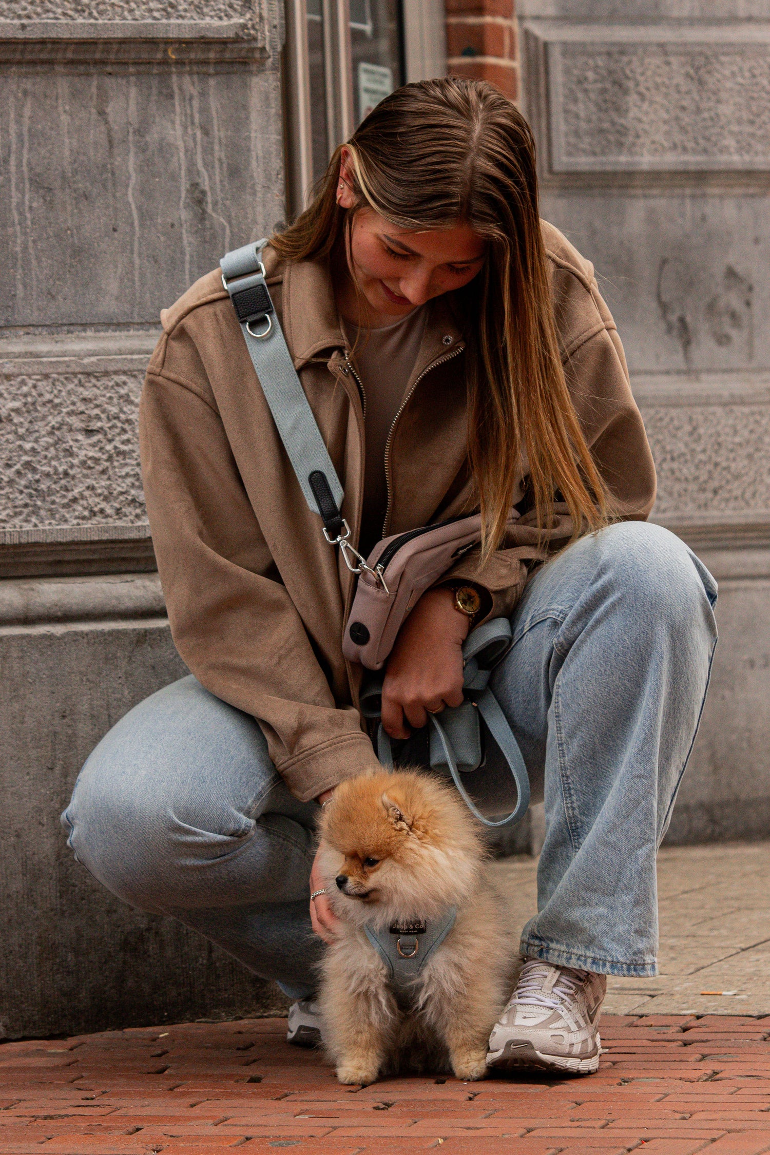 Verstelbare Schouderband voor Dog Walking Bag - Denim Days