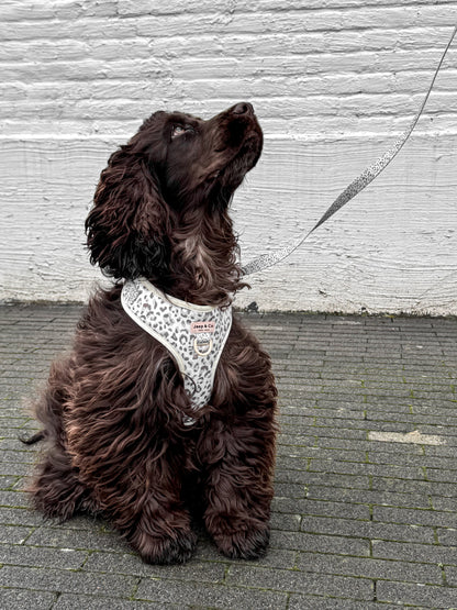 Snowy Leopard - Hondenriem