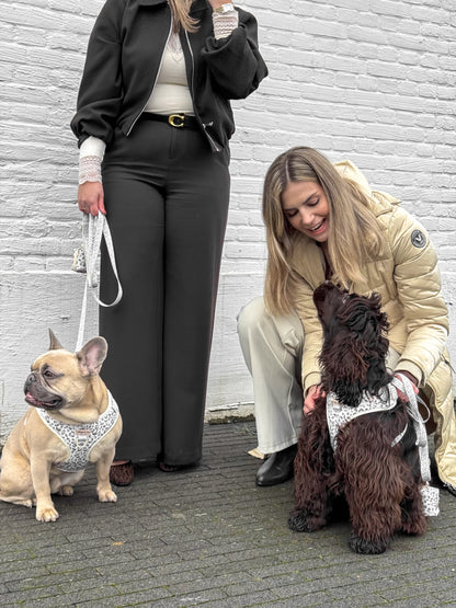 Snowy Leopard - Hondenriem