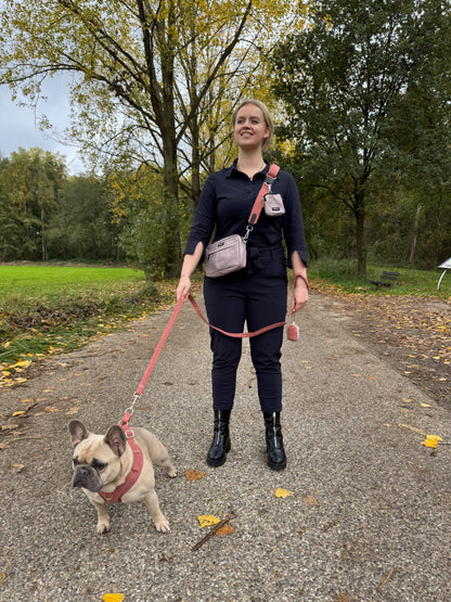 Latte Machiato Dogmom Bag - Golden Trails Strap