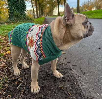 Kersttrui voor Honden – Gingerbread Cookies