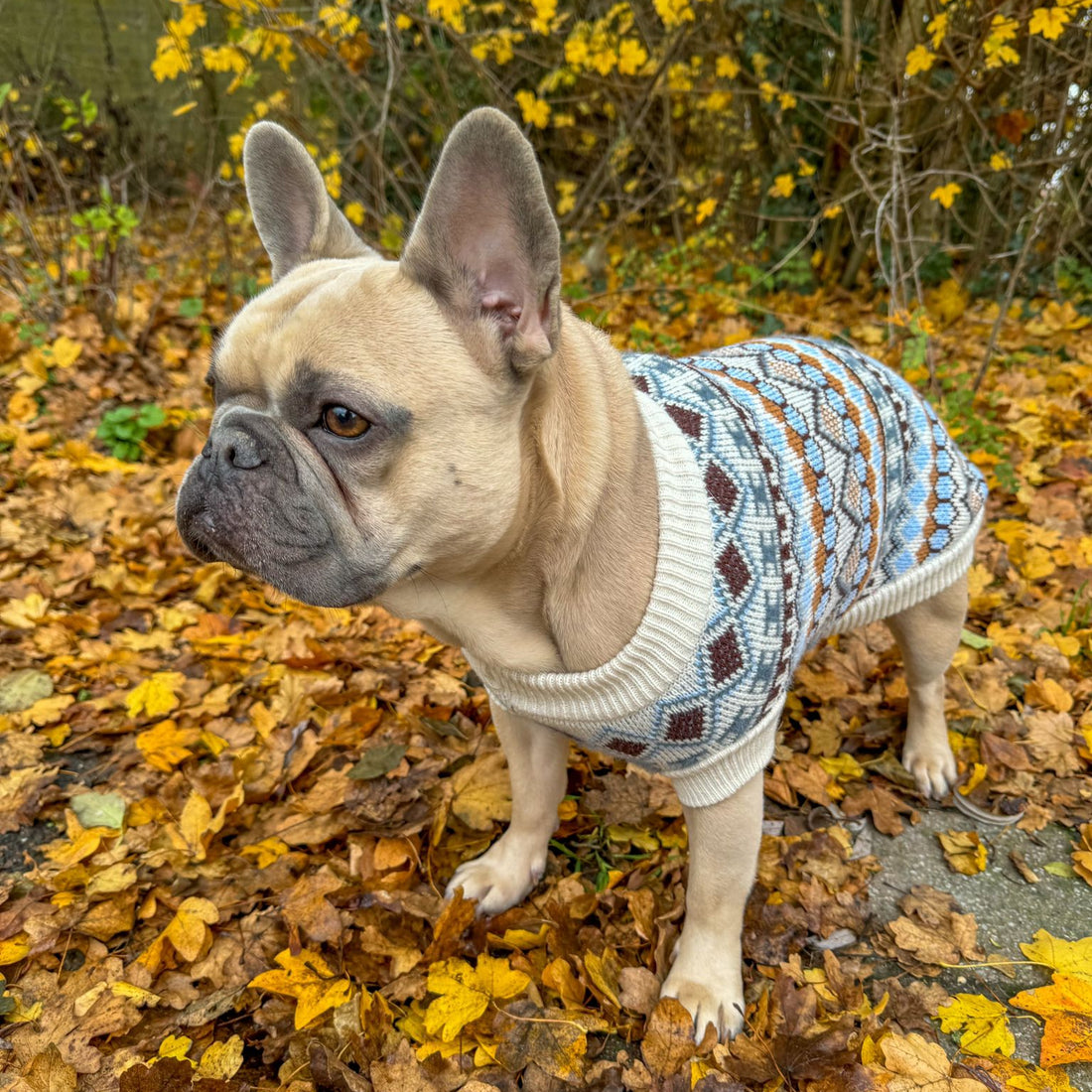 Warme Wintertrui voor Honden – Comfortabel, Zacht en Praktisch