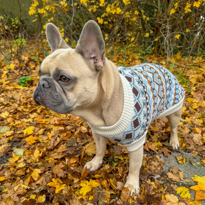 Warme Wintertrui voor Honden – Comfortabel, Zacht en Praktisch
