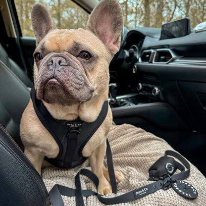 Black Paws Waterproof - Dog Harness