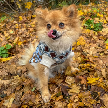 Warme Wintertrui voor Honden – Comfortabel, Zacht en Praktisch