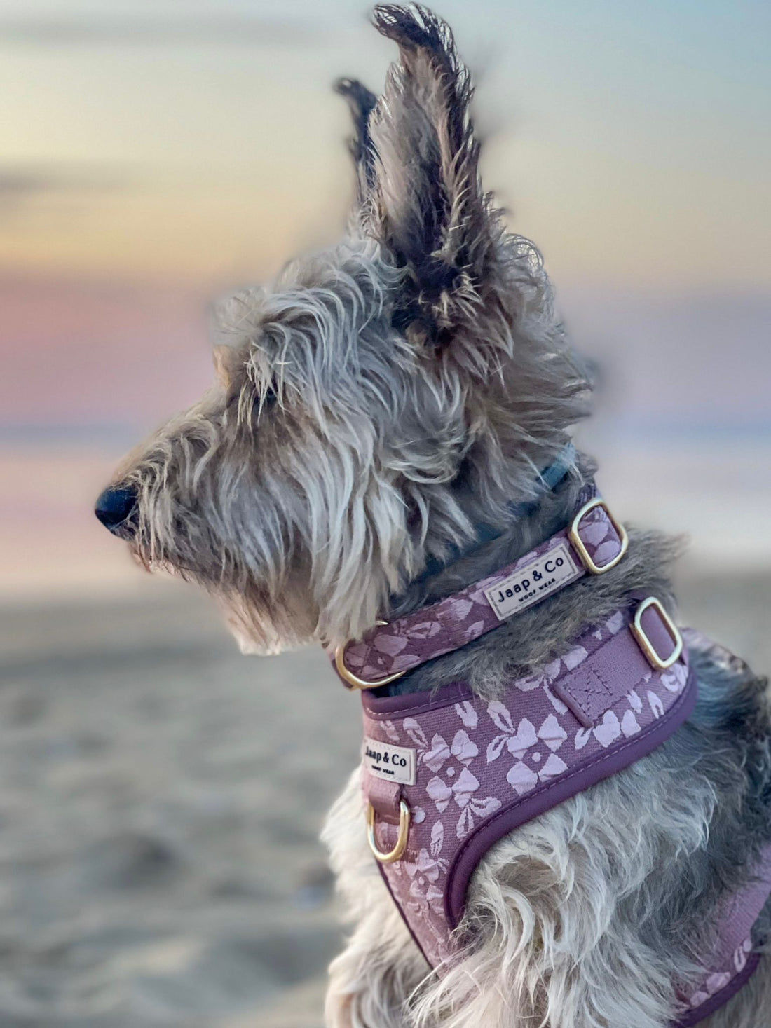 Rosé Dusk - Set Halsband