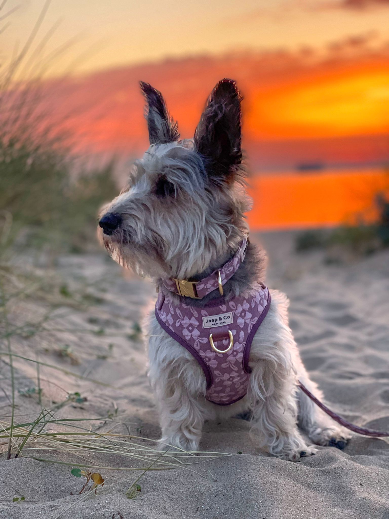 Rosé Dusk - Set Halsband