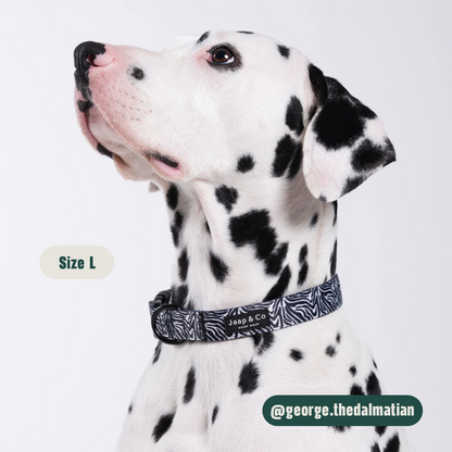 Zebra Chic - Set Halsband