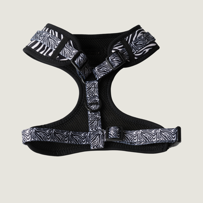 Zebra Chic - Hondentuigje